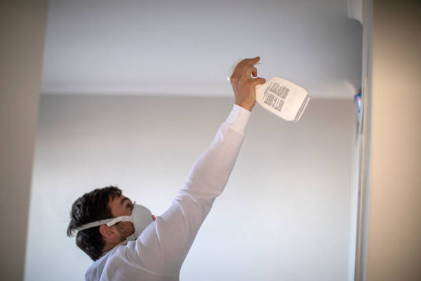 Best Mold Testing  in Royalton, IL