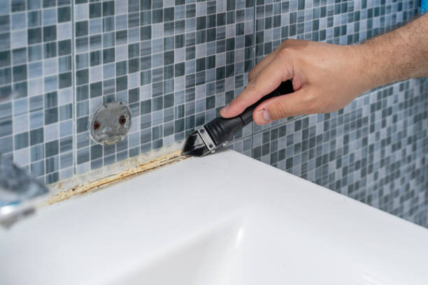 Best Home Mold Removal  in Royalton, IL
